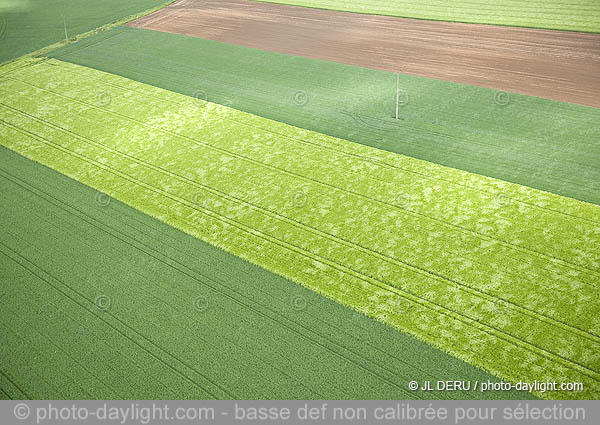 agriculture - Hesbaye